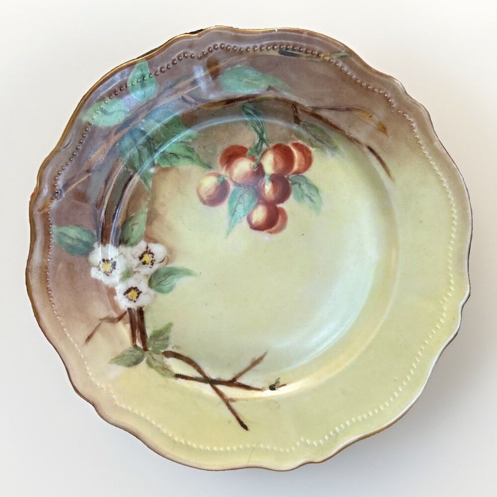 Antique O&EG Royal Austria Hand Painted Cherry Fruit 9.75” Porcelain Plate c1900